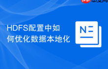HDFS配置中如何优化数据本地化