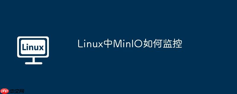 linux中minio如何监控