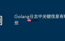 Golang日志中關(guān)鍵信息有哪些