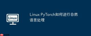 Linux PyTorch如何进行自然语言处理