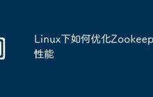 Linux下如何優(yōu)化Zookeeper性能