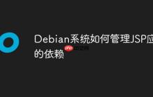 Debian系统如何管理JSP应用的依赖