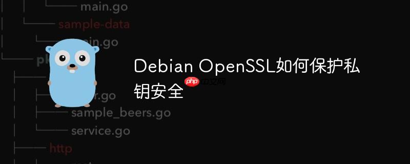 debian openssl如何保护私钥安全