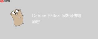 debian下filezilla数据传输加密