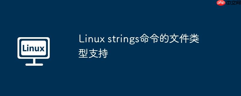linux strings命令的文件类型支持