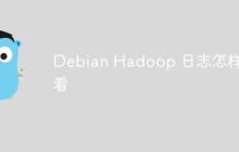 Debian Hadoop 日志怎样查看