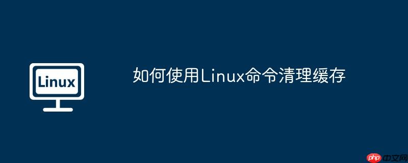 如何使用linux命令清理缓存