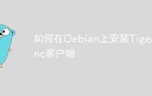 如何在Debian上安装Tigervnc客户端