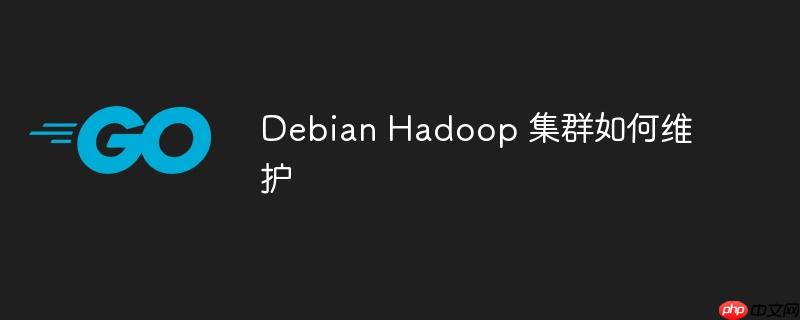 debian hadoop 集群如何维护