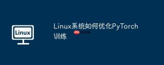 Linux系统如何优化PyTorch训练