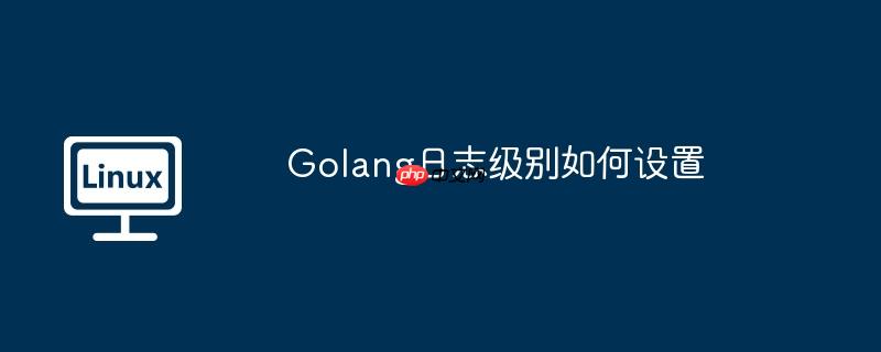 golang日志级别如何设置