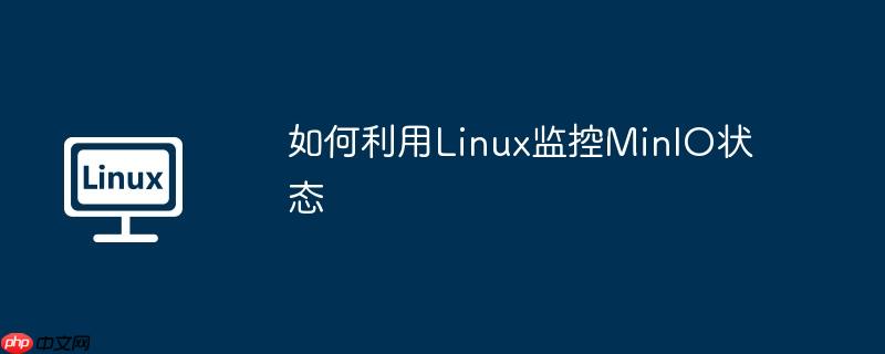 如何利用linux监控minio状态