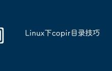 Linux下copir目录技巧