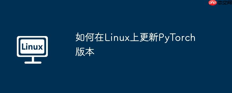 如何在linux上更新pytorch版本