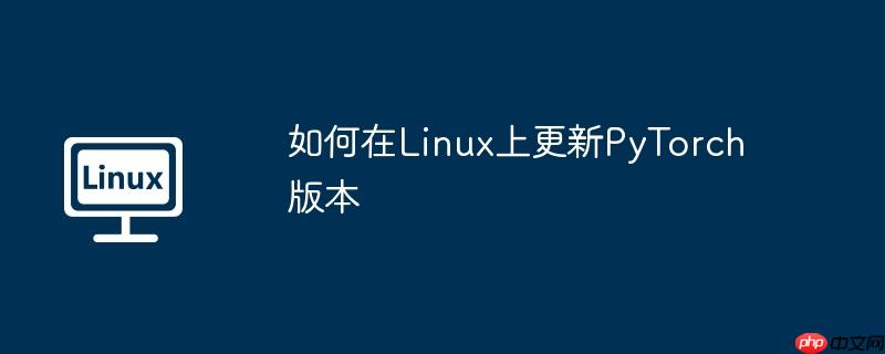 如何在Linux上更新PyTorch版本