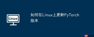 如何在Linux上更新PyTorch版本