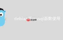 debian下mysql函数使用