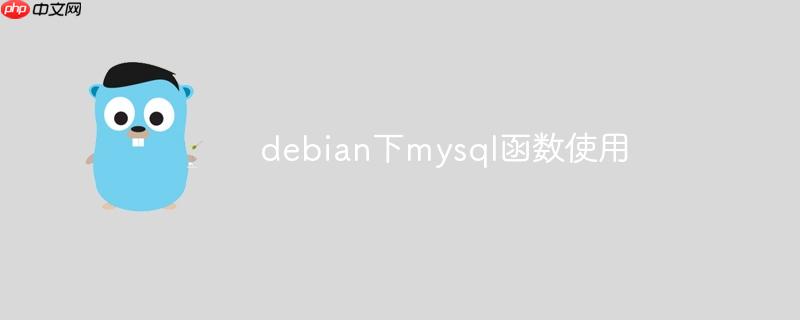 debian下mysql函数使用