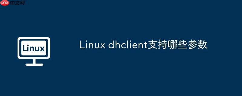 linux dhclient支持哪些参数
