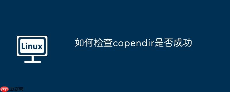 如何检查copendir是否成功
