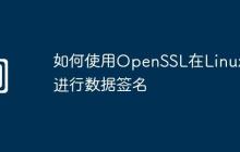 如何使用OpenSSL在Linux上进行数据签名