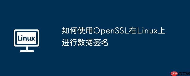 如何使用openssl在linux上进行数据签名