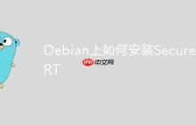 Debian上如何安装SecureCRT