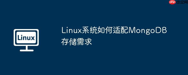 Linux系统如何适配MongoDB存储需求