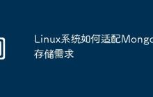 Linux系统如何适配MongoDB存储需求