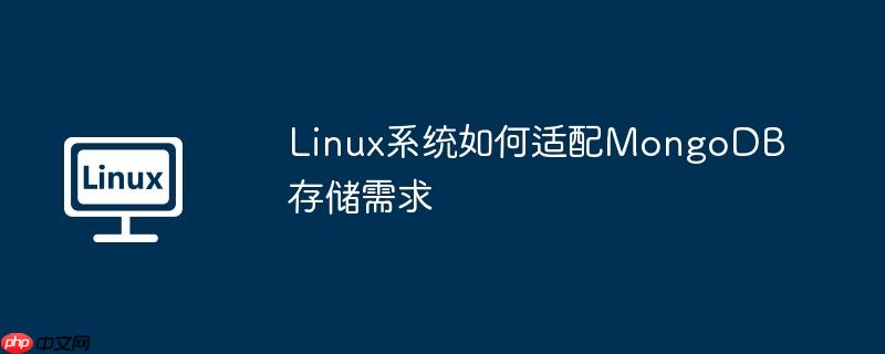 linux系统如何适配mongodb存储需求