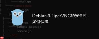 Debian与TigerVNC的安全性如何保障