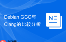 Debian GCC与Clang的比较分析