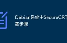 Debian系统中SecureCRT设置步骤