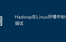 Hadoop在Linux环境中如何调试