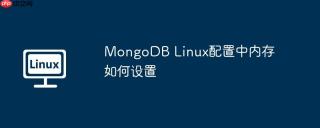 MongoDB Linux配置中内存如何设置