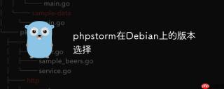 phpstorm在Debian上的版本选择