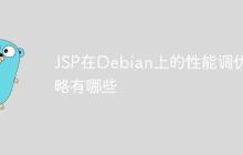 JSP在Debian上的性能调优策略有哪些