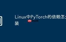 Linux中PyTorch的依赖怎么装