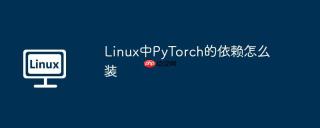 Linux中PyTorch的依赖怎么装
