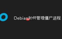 Debian如何管理僵尸进程