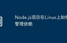 Node.js项目在Linux上如何管理依赖