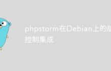 phpstorm在Debian上的版本控制集成