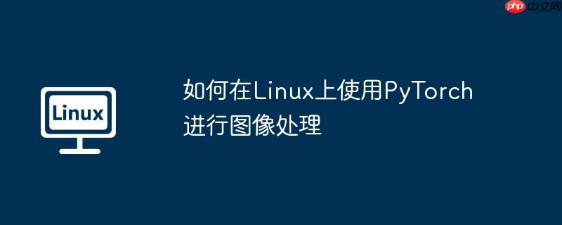 如何在linux上使用pytorch进行图像处理