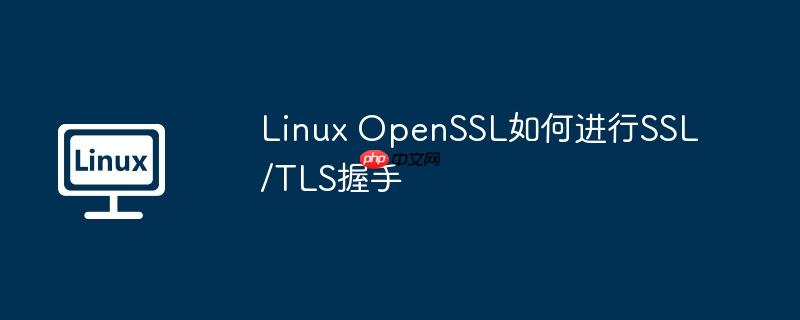 linux openssl如何进行ssl/tls握手