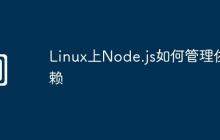 Linux上Node.js如何管理依赖