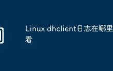 Linux dhclient日志在哪里查看