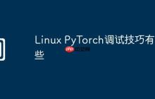 Linux PyTorch调试技巧有哪些