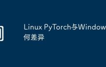 Linux PyTorch与Windows有何差异