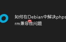如何在Debian中解决phpstorm兼容性问题