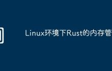 Linux环境下Rust的内存管理